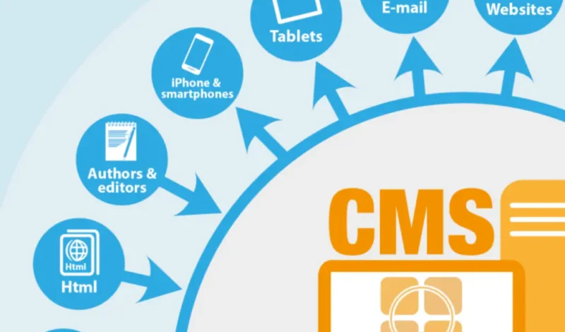 The Power of CMS Solutions: Transforming Content Management for Your Business