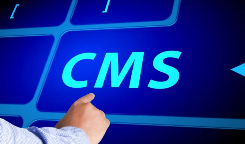 Why Custom CMS Solutions are Essential for Your Business: Tailored to Your Needs by Stand in Crowd Technologies