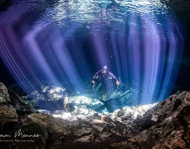 diving-cenotes-1536x1024 diving-cenotes-1536x1024